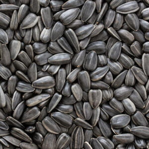 İthal Ay Çekirdeği 500 Gr