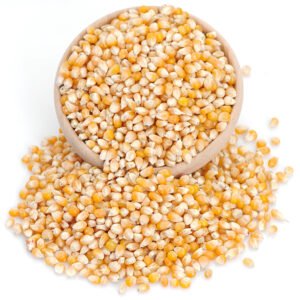 Taze Patlayan Mısır (Cin Mısır) 1 Kg